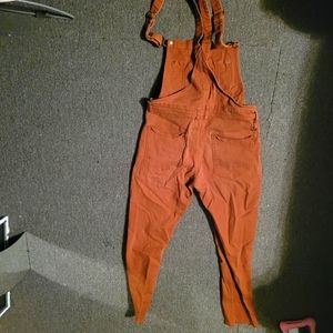 Publish mens overalls sz 32